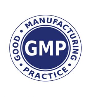 GMP version en vigueur